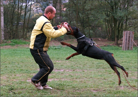 Training in Prague 10/2007